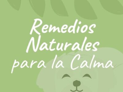 miniatura del curso