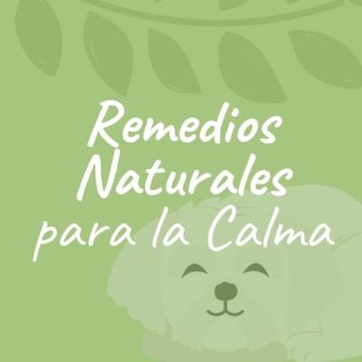 Remedios Naturales para la Calma