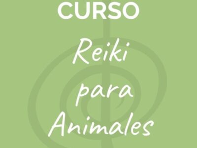 miniatura del curso