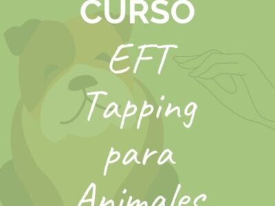 miniatura del curso