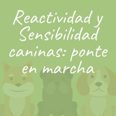 Reactividad y Sensibilidad caninas