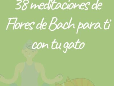 miniatura del curso