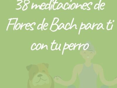 miniatura del curso