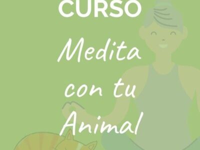 miniatura del curso