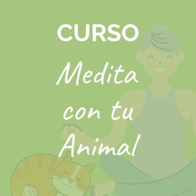 medita con tu animal