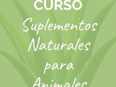 miniatura del curso